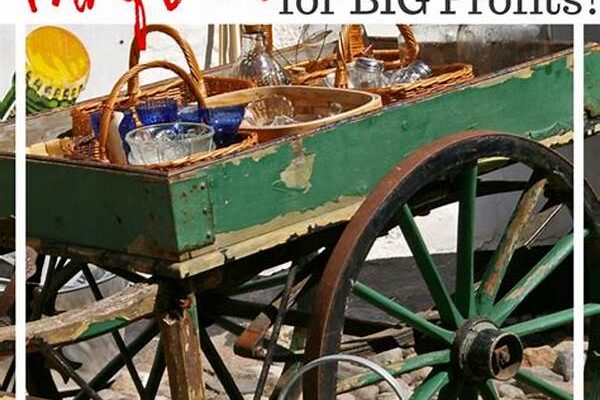 Beginner Tips For Thrift Finds