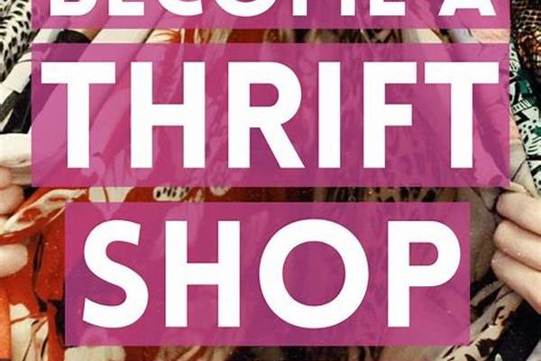 Professional Thrifting Techniques Guide