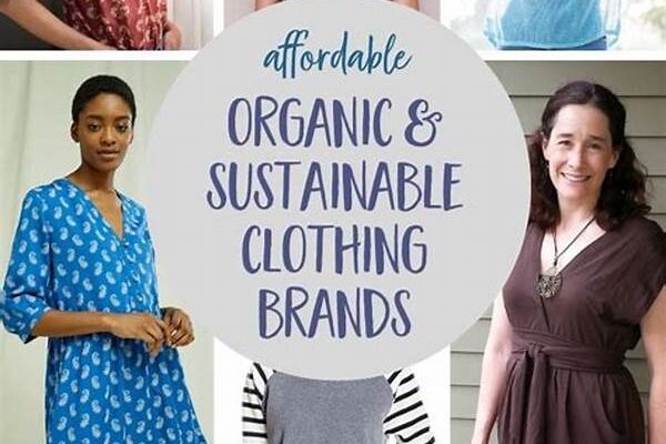 Cheap Sustainable Apparel Selections