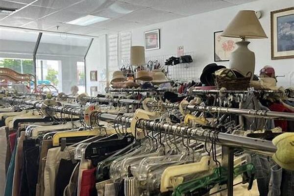 Discovering Thrift Store Treasures