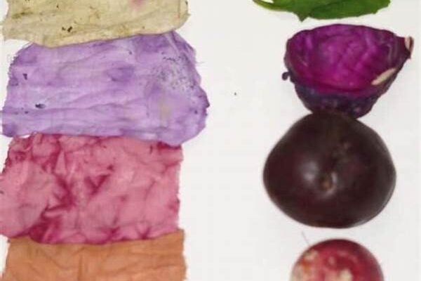 Natural Dyes For Fabric Patching