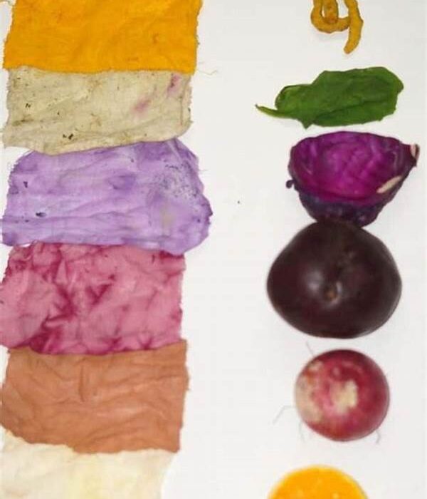 Natural Dyes For Fabric Patching